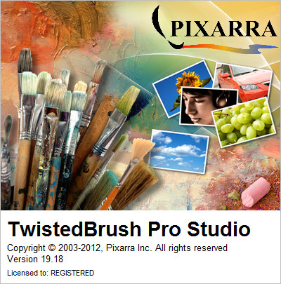 TwistedBrush Pro Studio