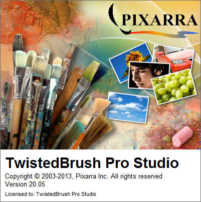 TwistedBrush Pro Studio