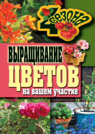 Выращивание цветов на вашем участке