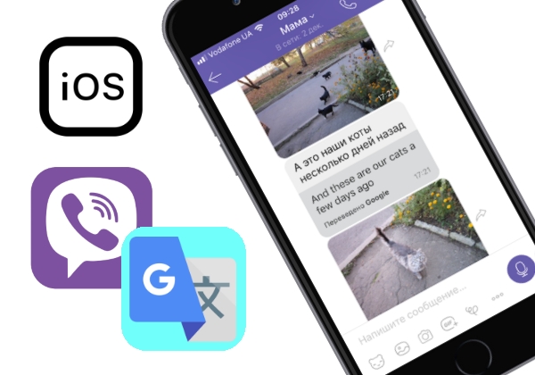 Как переводить переписку в Viber на iPhone