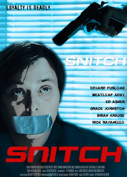 Защита свидетеля / Snitch (2011) HDTVRip