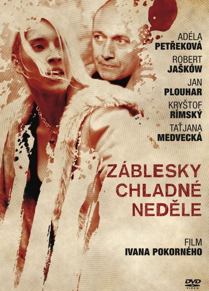 Проблеск в холодном воскресенье / Zablesky chladne nedele (2012/DVDRip)