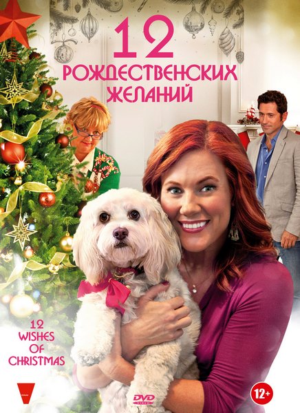 12 Рождественских желаний / 12 Wishes of Christmas (2011) DVDRip