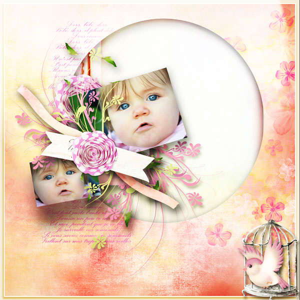 2 gorgeous scrap kits (Cwer.ws)