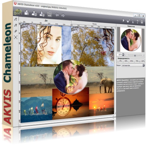 AKVIS Chameleon 8.0.1720