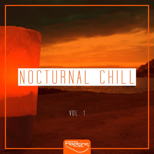 Nocturnal Chill Vol.1