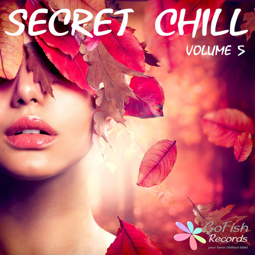 Secret Chill Vol.5