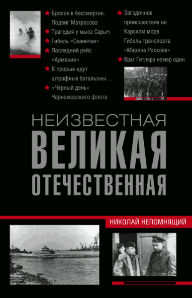 Николай Непомнящий. Неизвестная Великая Отечественная