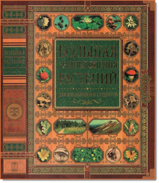 Большая энциклопедия растений для школьников и студентов
