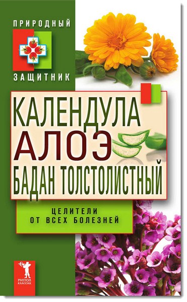 Календула, алоэ и бадан толстолистный. Целители от всех болезней