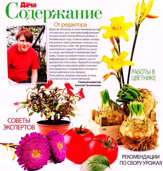 Любимая дача. Спецвыпуск №5 (2012) Украина