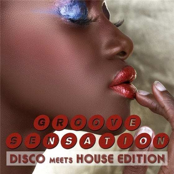 скачать Groove Sensation Vol. 3: Disco Meets House Edition (2011)