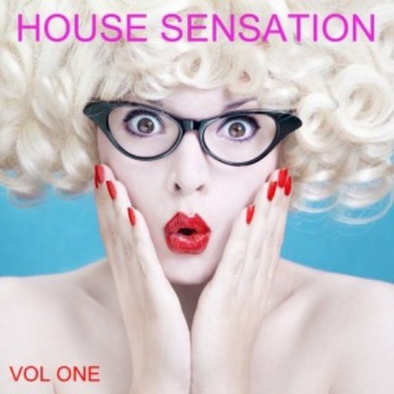 скачать House Sensation Vol 1 (2012)