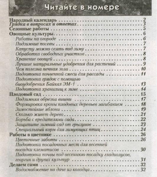 содержание журнала Бабушкина грядка 11-12 2011