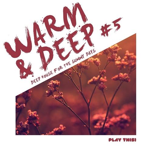 Warm And Deep Vol.5