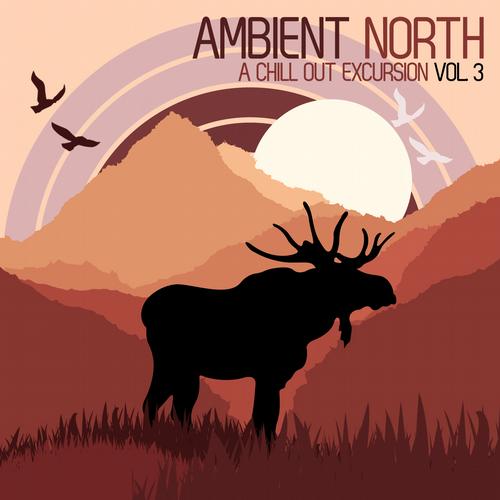 Ambient North