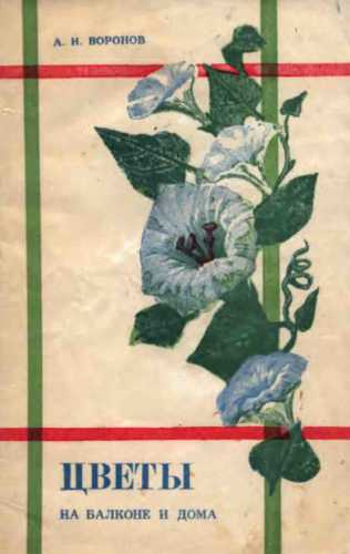 Цветы на балконе и дома
