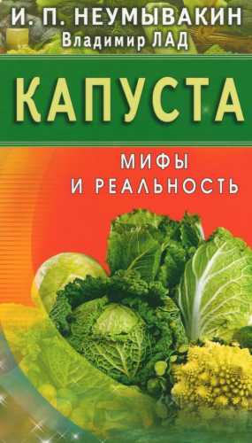 Капуста. Мифы и реальность