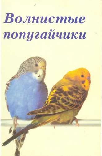 Волнистые попугайчики