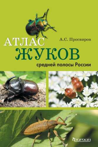 Атлас жуков средней полосы России