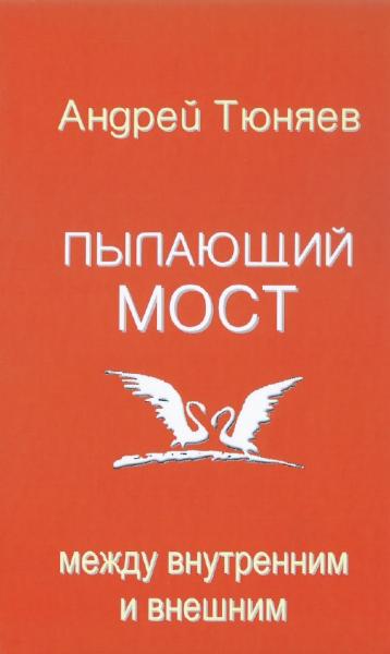 А. Тюняев. Пылающий мост. Между внутренним и внешним