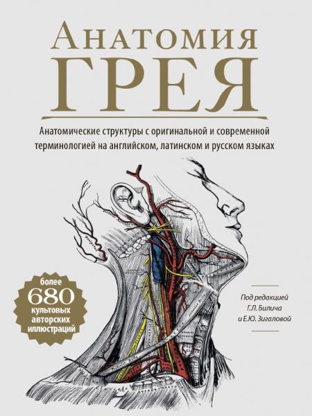 Анатомия Грея. Анатомические структуры с оригинальной и современной терминологией на английском, латинском и русском языках