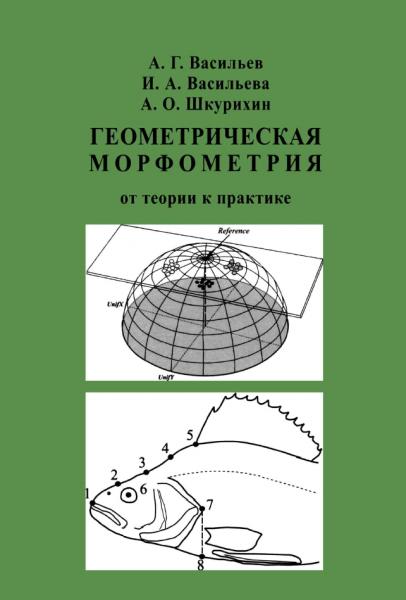 Геометрическая морфометрия: от теории к практике