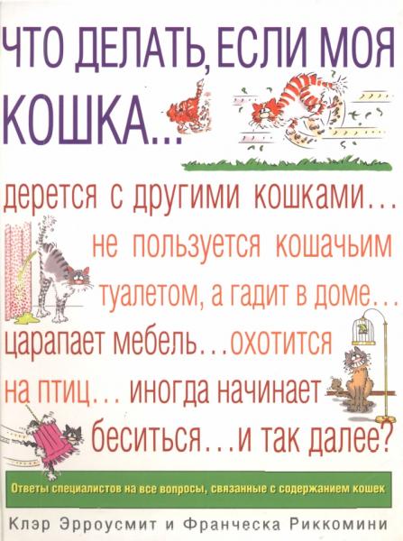 Что делать, если моя кошка...