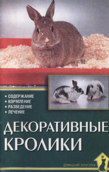 Декоративные кролики