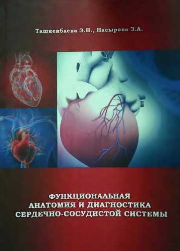 Функциональная анатомия и диагностика сердечно-сосудистой системы