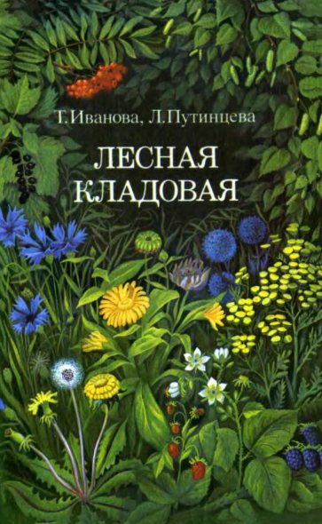 Т. Иванова. Лесная кладовая