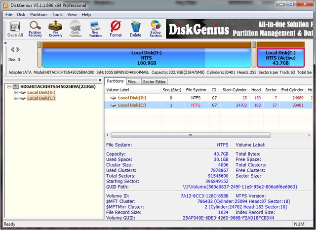 DiskGenius Professional 5.1.1.696