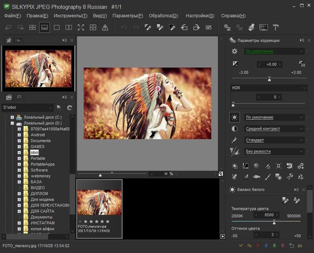 SILKYPIX JPEG Photography 8.2.29.1 + Rus