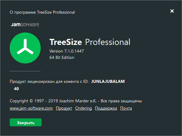 TreeSize Professional