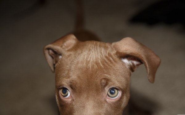 New Mixed HD Wallpapers Pack 317