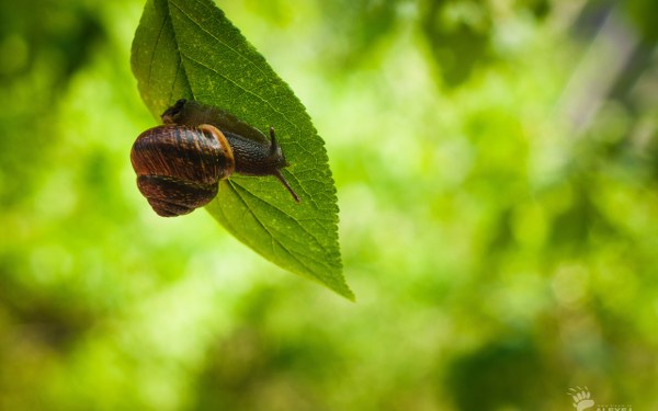 New Mixed HD Wallpapers Pack 158