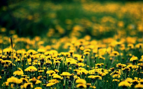 New Mixed HD Wallpapers Pack 173