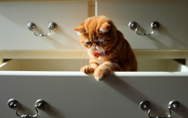 New Mixed HD Wallpapers Pack 176