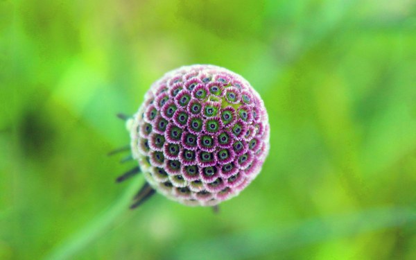 New Mixed HD Wallpapers Pack 274