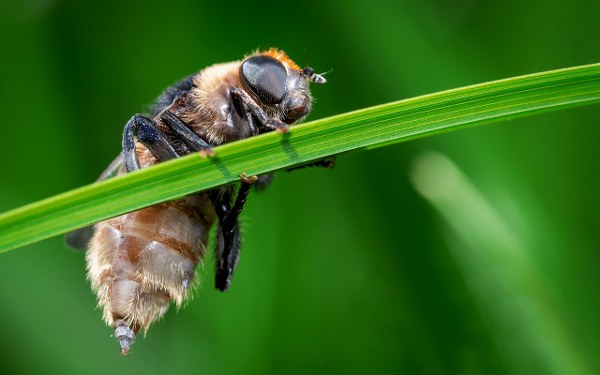 New Mixed HD Wallpapers Pack 196