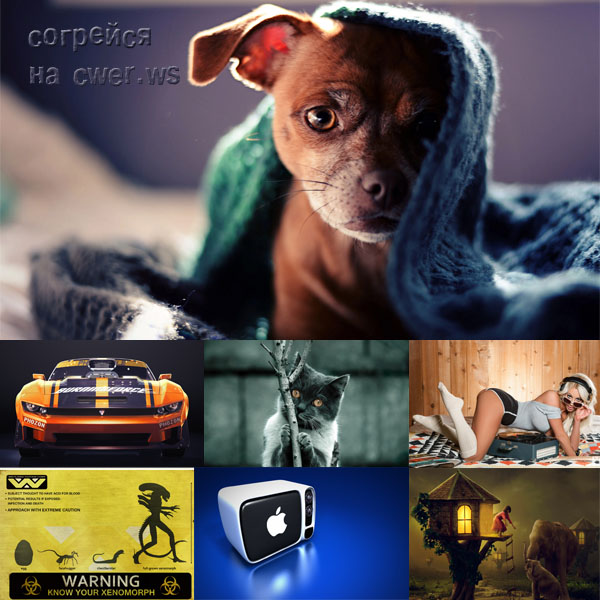 New Mixed HD Wallpapers Pack 220