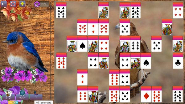 Hidden Pairs 3: Lovely Birds