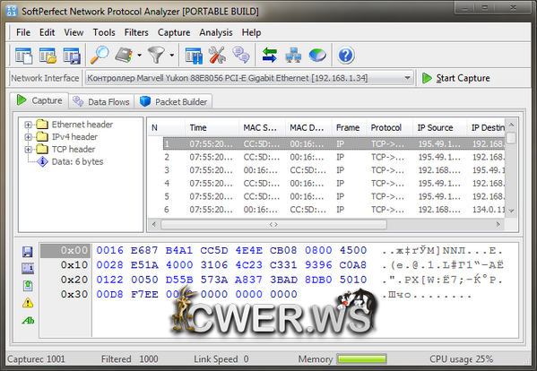 SoftPerfect Network Protocol Analyzer 2