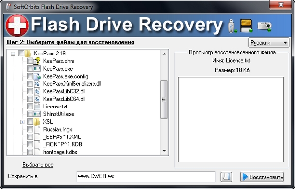 Flash Drive Recovery