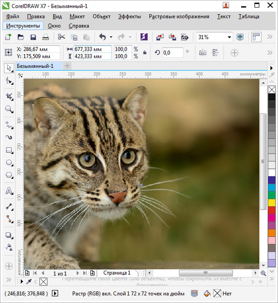 Portable CorelDRAW Graphics Suite X7 17.5.0.907