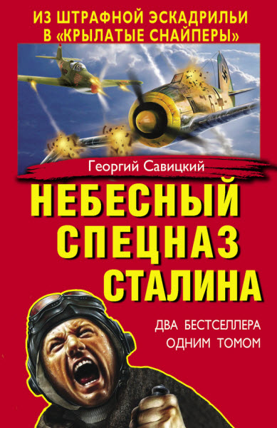 Георгий Савицкий. Небесный спецназ Сталина. Из штрафной эскадрильи в «крылатые снайперы»